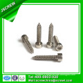 China Leading Hardware Factory Stainless Steel Hex Socket Head Cap Screws